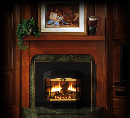 HEAT-N-GLO - GAS FIREPLACE AMP; STOVE PRODUCTS | GAS INSERTS